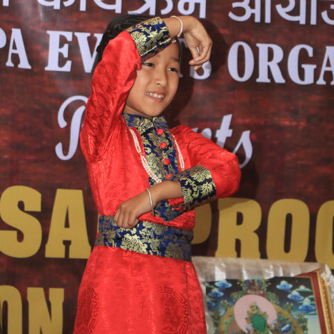 Sherpa Online Dance Competition